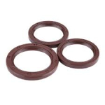 Camshaft Oil Seal