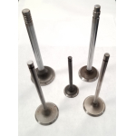 Exhaust Valve